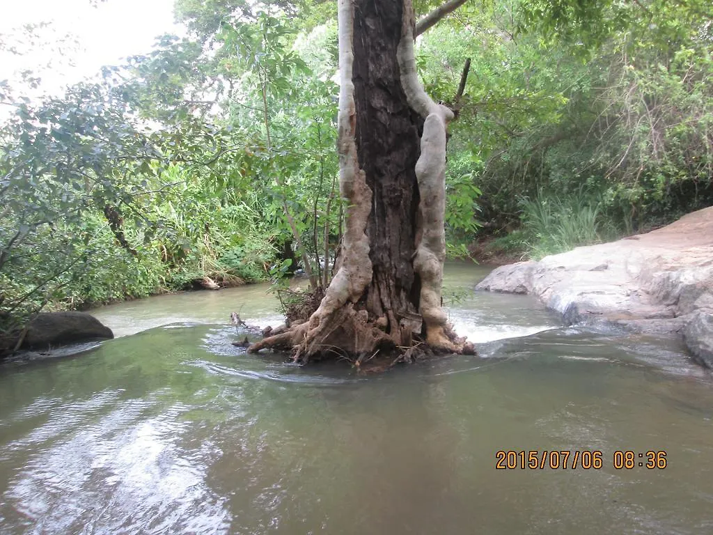 Sigiriya River Side Resort